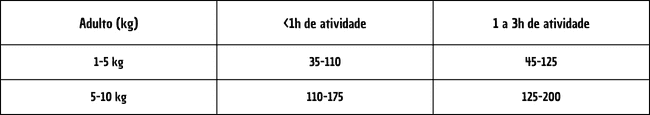 1h de atividade cão nini