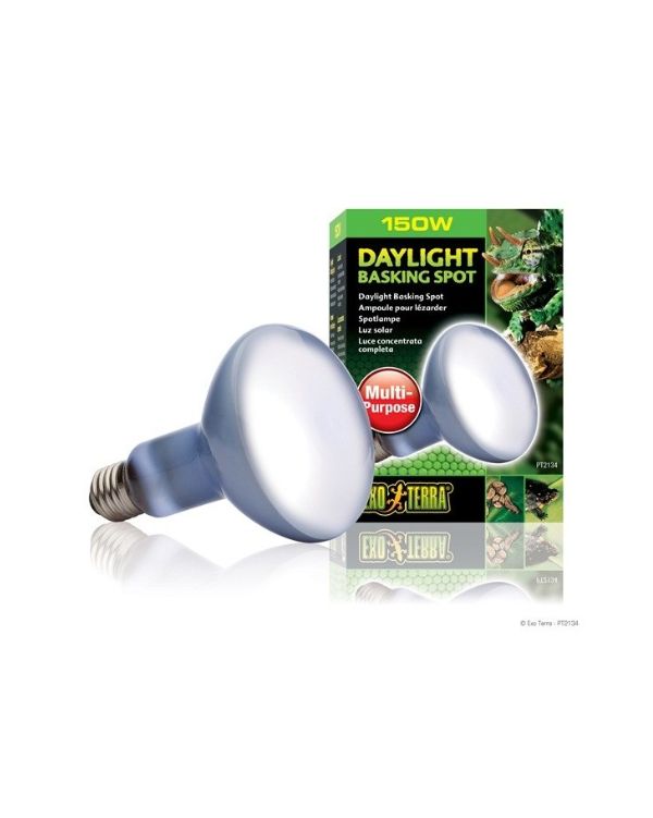 Exo Terra Lâmpada DayLight Basking Spot