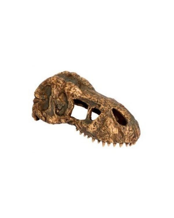 Exo Terra Skull T-Rex
