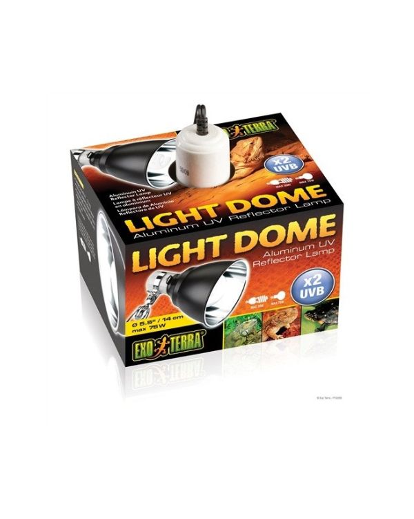 Porta Lâmpadas Light Dome