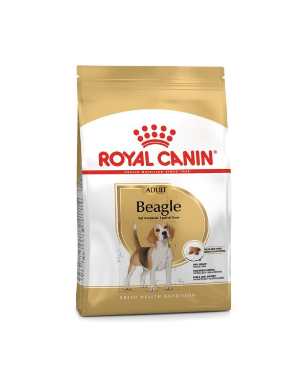 Royal Canin Beagle Adulto