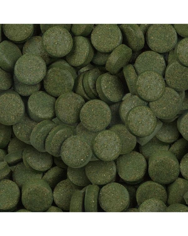 Pastilhas Spirulina Tabs