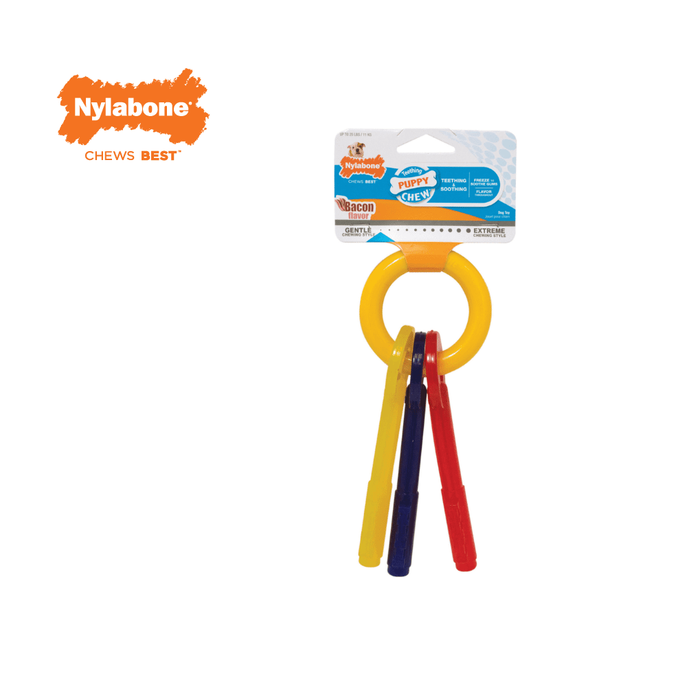 Chaves  Puppy Teething Keys M ( Até 16 Kg )
