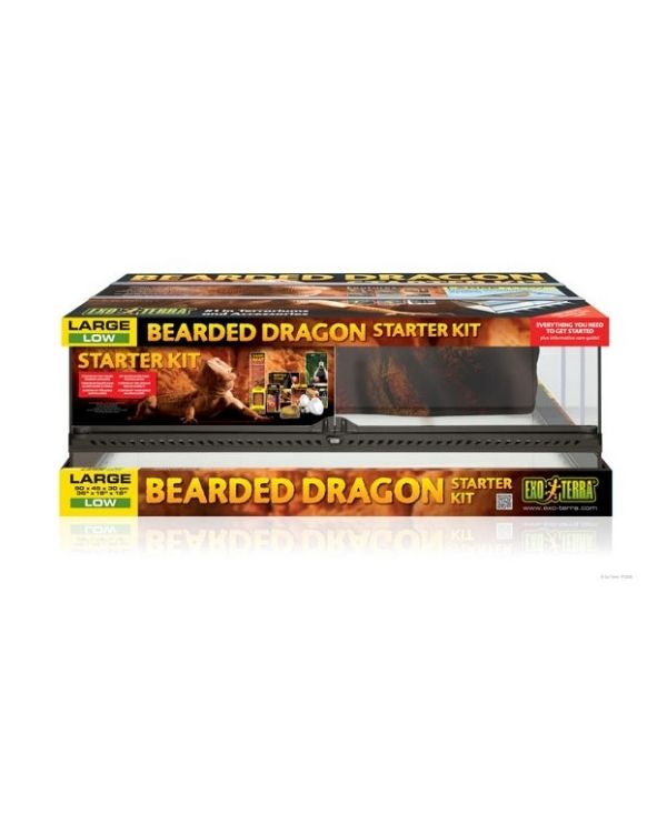 Kit de Iniciação Terrários Dragão Barbudo Exo Terra
