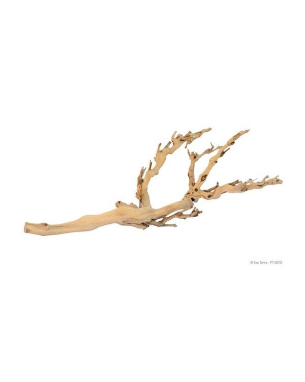 Ramo Natural Forest Branch Exo Terra Médio 45 cm
