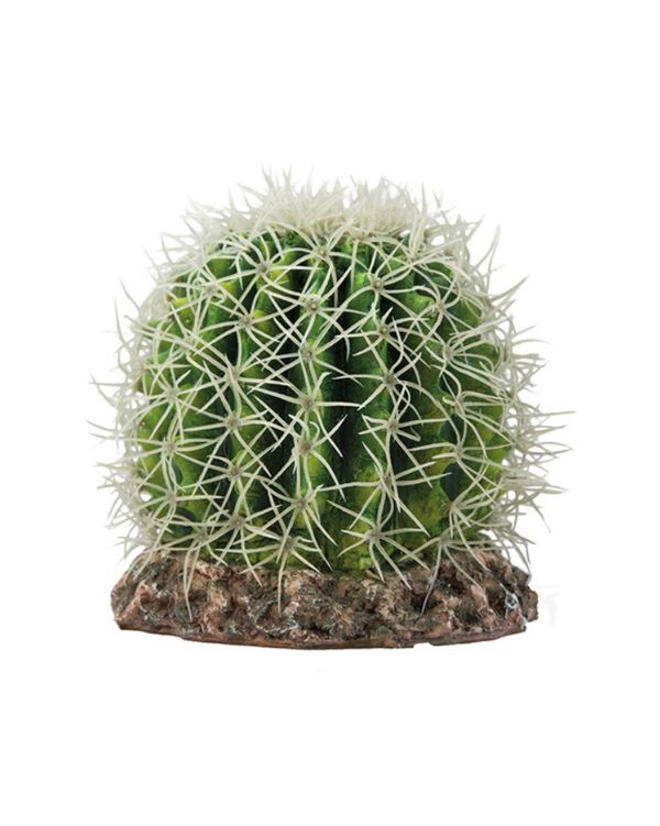 Cactus Sonora