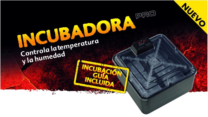 incubadora pro temperatura