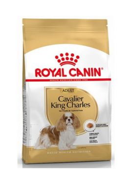 Royal Canin Cavalier King Charles Adulto
