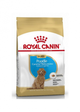 royal_canin_caniche_puppy