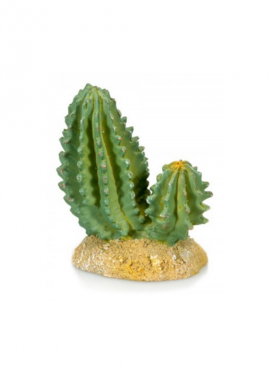 Cactus 4 Giganterra