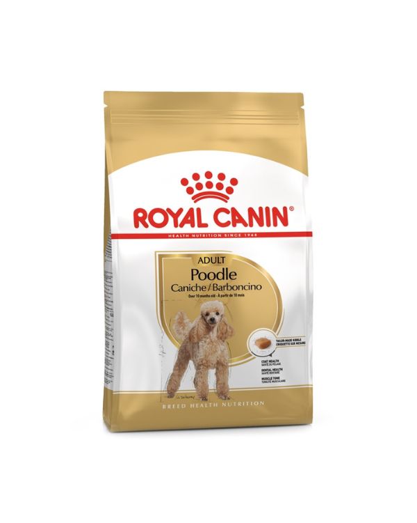 Royal Canin Caniche Adulto