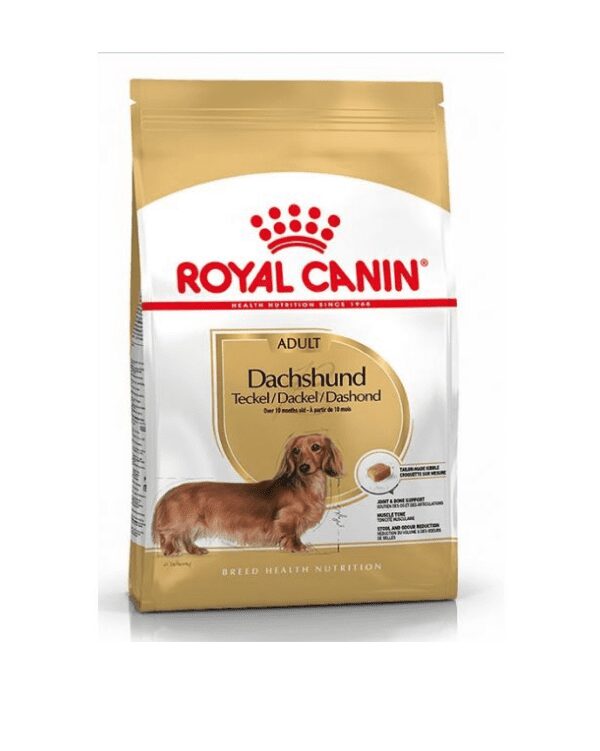 Royal canin Dachshund adulto