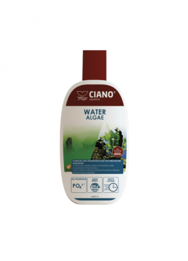 ciano water algae
