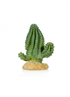 Cactus 1 Giganterra
