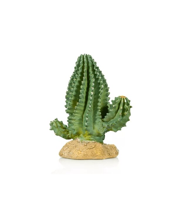 Cactus 1 Giganterra