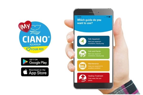 Banner App My Ciano