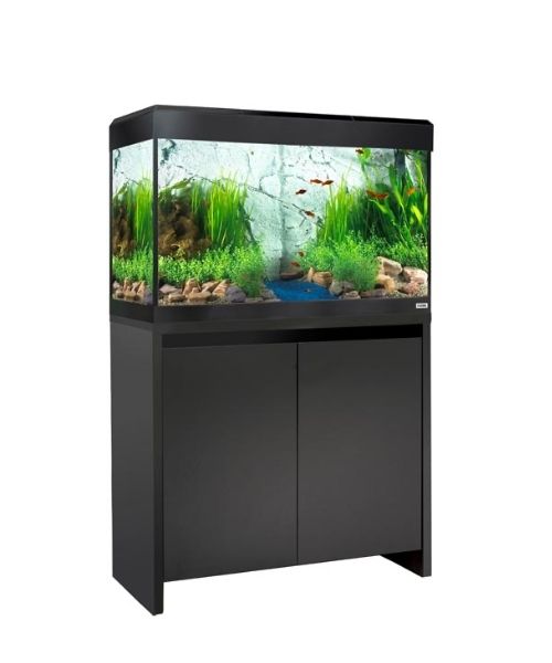 Aquário Fluval Roma 125L com Móvel