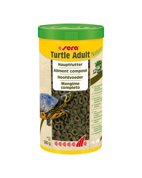 Sera Turtle Adult Nature