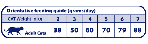 tabela gramas diárias