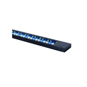 LED