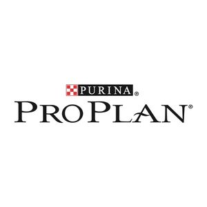 Pro Plan