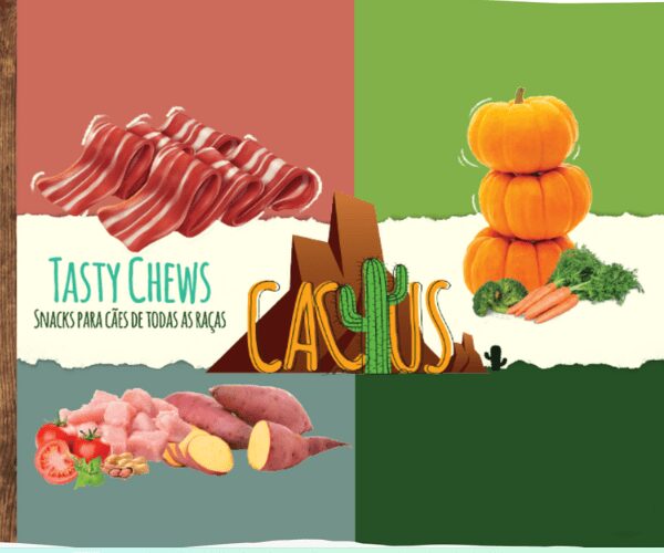 snacks tasty chews cactus