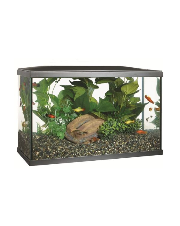 Kit Aquario Marina 38 Litros