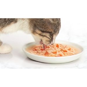 Sopas