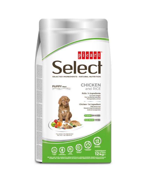 Picart Select Puppy Maxi