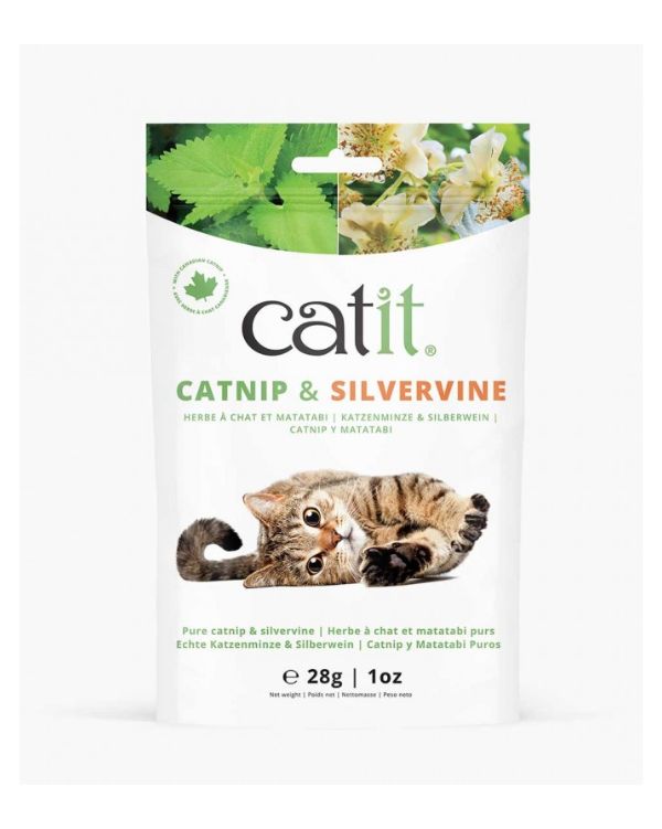CATNIP E MATATABI SECOS CATIT