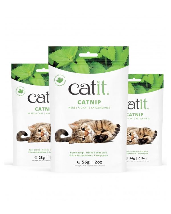 CATNIP SECO CATIT